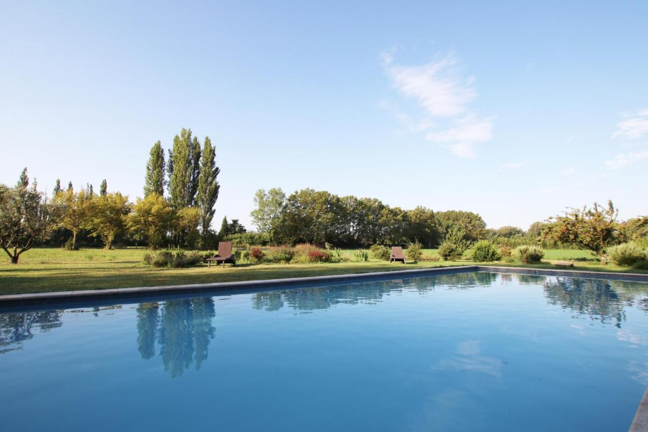 Villa Le Jardin d'Érables St Remy 7 HA Piscine/Clim Paluds de Noves Exterior foto
