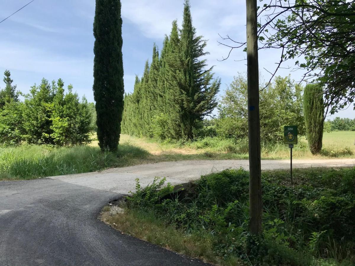 Villa Le Jardin d'Érables St Remy 7 HA Piscine/Clim Paluds de Noves Exterior foto